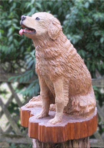 Hund golden retriever motorsge kettensgenkunst holz schnitzen jochen adam holzwerker geschnitzt  chainsaw carving