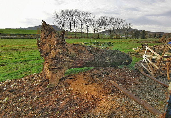 bank eckbank eiche schnitzen motorsge kettensgen holz garten jochen adam holzwerker