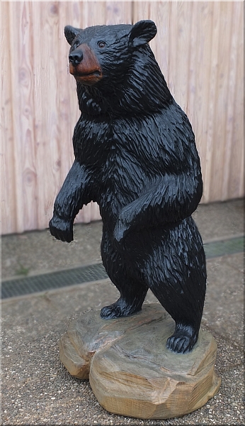 schwarzbr black bear