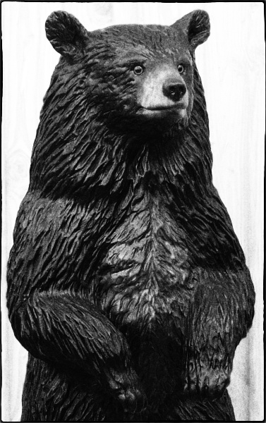 black bear schwarzbr grizzly br bear motorsgen kettensge schnitzen holzwerker jochen adam