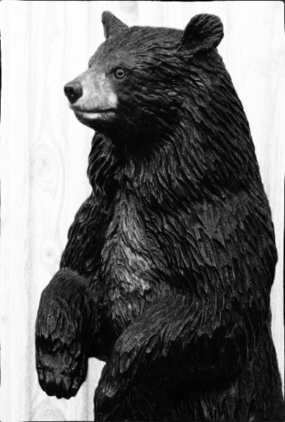 black bear schwarzbr grizzly br bear motorsgen kettensge schnitzen holzwerker jochen adam