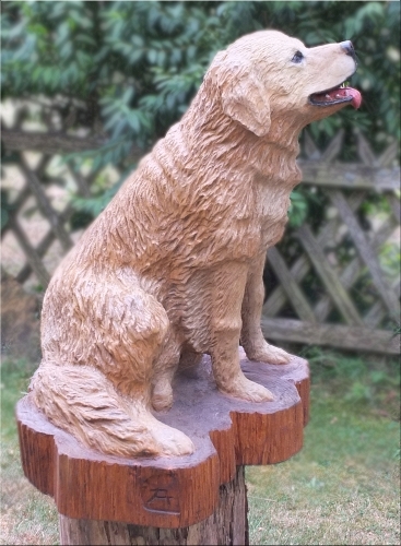 Hund golden retriever motorsäge kettensägenkunst holz schnitzen jochen adam holzwerker geschnitzt  chainsaw carving